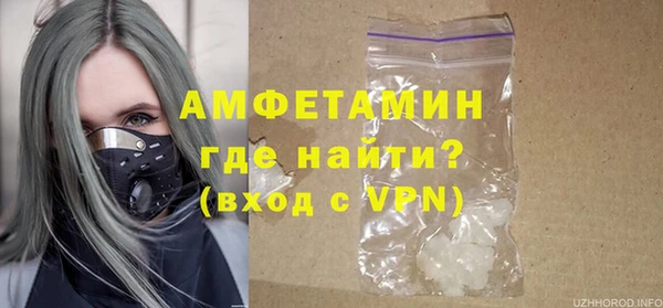 шишки Абаза