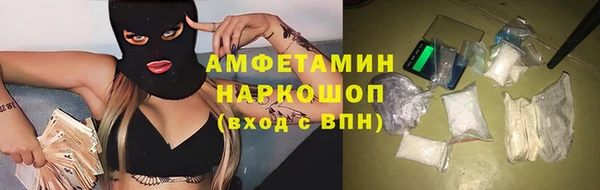 шишки Абаза