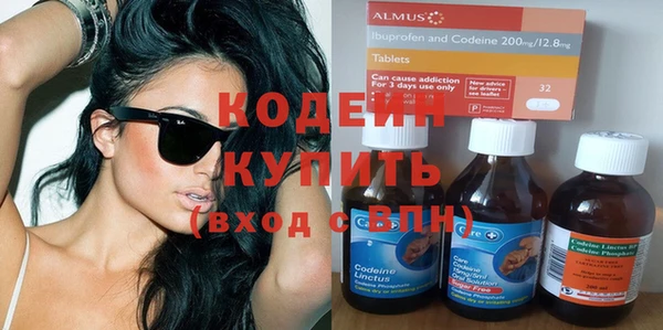 шишки Абаза