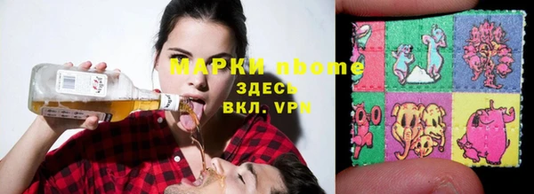 шишки Абаза