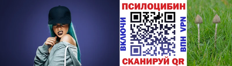 Псилоцибиновые грибы Cubensis  Серафимович 